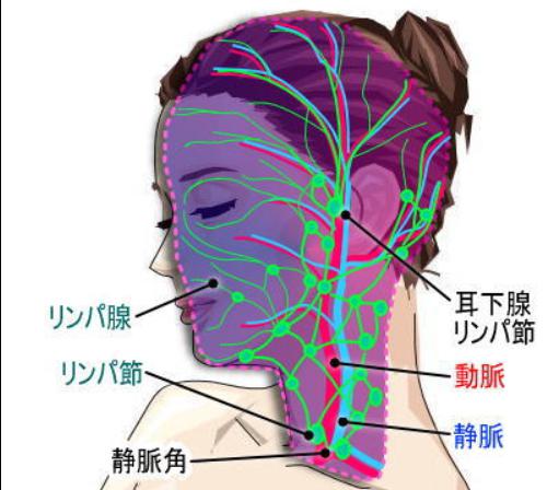 美白とアンチエイジングケア お顔のマッサージの種類 アンチエイジング効果を高める美肌対策と体内美容法と 心の持ち方の秘訣